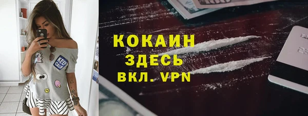 тгк Краснослободск