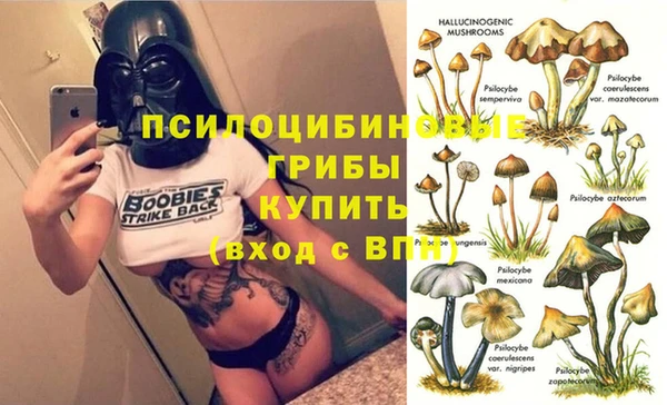 мяу мяу мука Краснотурьинск