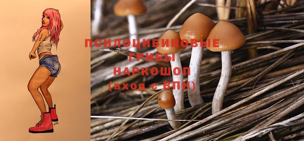 тгк Краснослободск