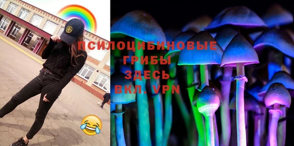 тгк Краснослободск