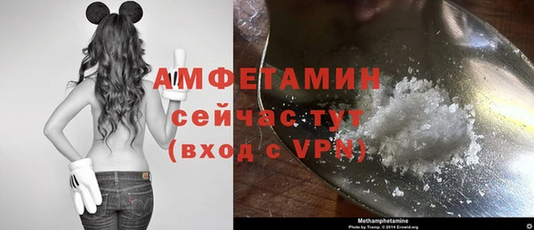 тгк Краснослободск